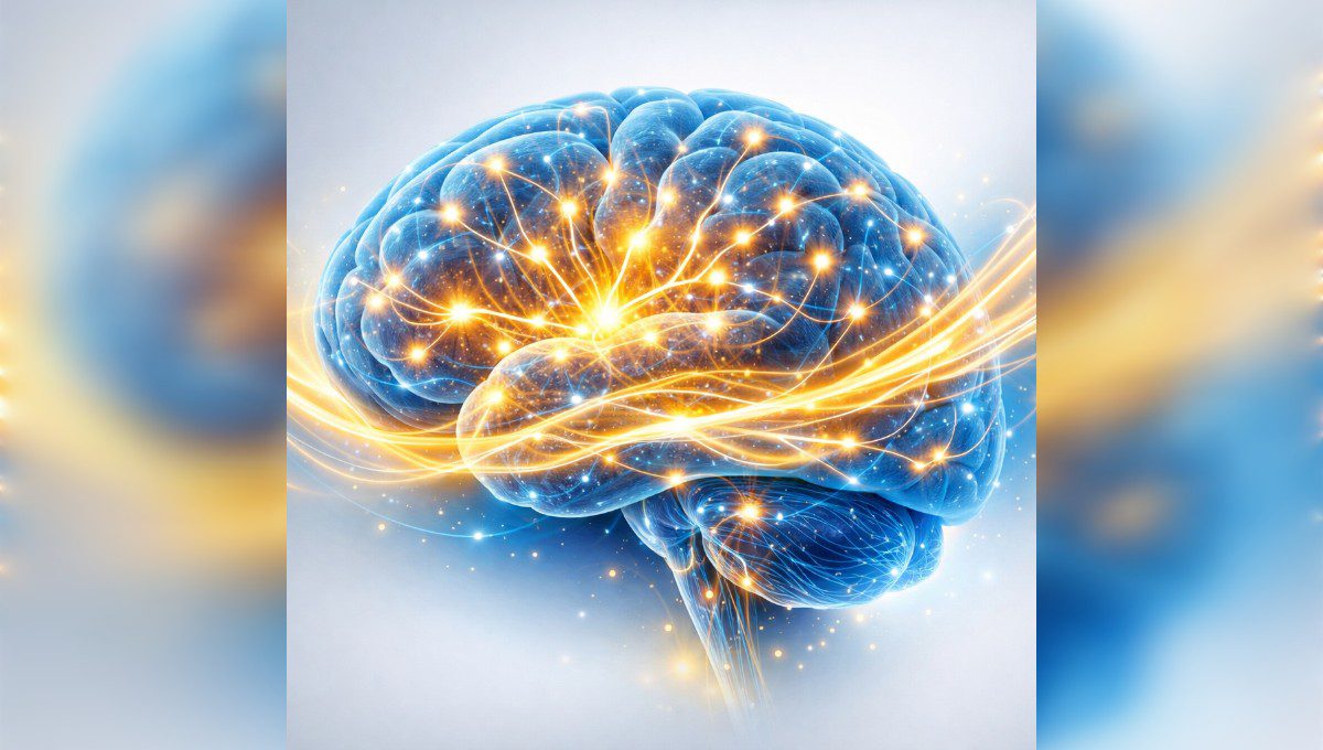brain neuroplasticity success mindset